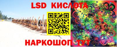 ПСИЛОЦИБИНОВЫЕ ГРИБЫ Кандалакша