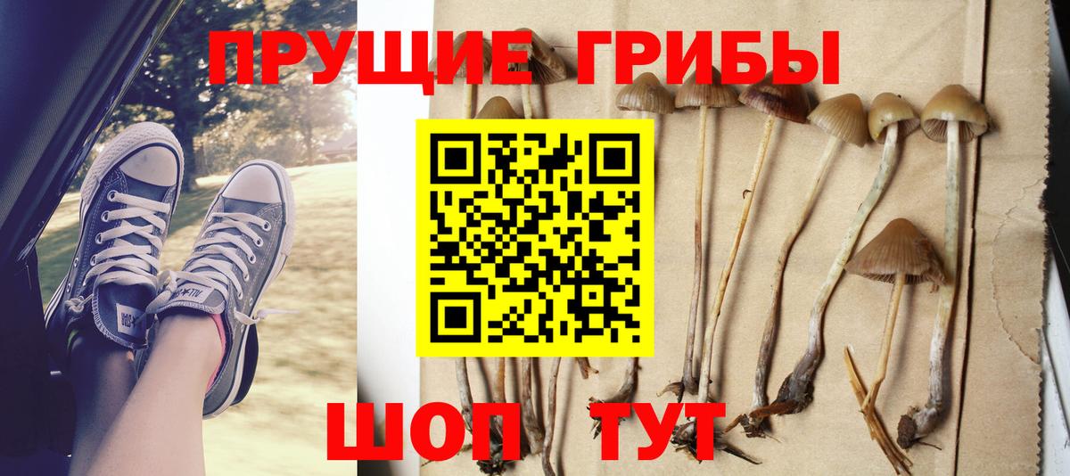 где можно купить наркотик  Вход с VPN  Кропоткин  Псилоцибиновые грибы MAGIC MUSHROOMS 